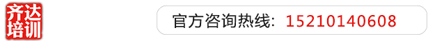 美女啪啪啪操风骚不要齐达艺考文化课-艺术生文化课,艺术类文化课,艺考生文化课logo